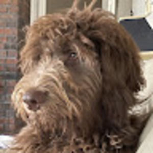 Meet your Posher, Cheryl